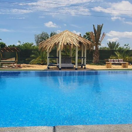 Hotel Casadelfenix Crevillent Esterno foto